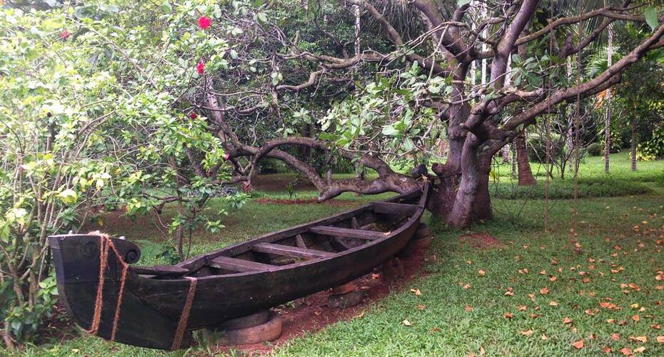 Sarovaram Backwater Resort & Ayurvedic Spa, Kollam 4